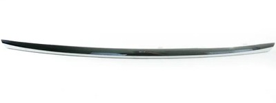 Молдинг декоративна бампера передній mini cooper r52 фото №1