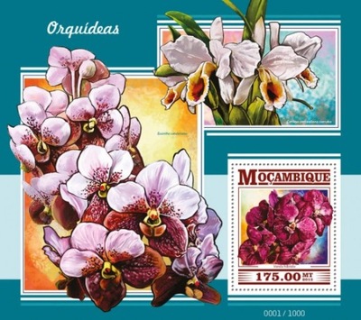 Orchidee orchidea kwiaty Mozambik bl. #06MOZ15321b