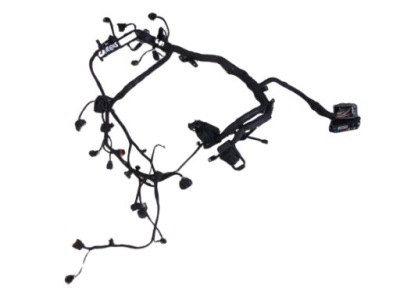 Kia carens iv електропроводка двигуна джгут 2.0 gdi фото №1