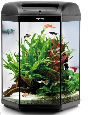 AQUAEL AKWARIUM SZEŚCIOKĄTNE 60L HEXA shrimp LED