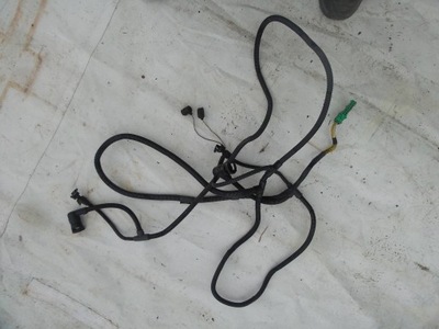 Електропроводка джгут фари лампа daf 45 55 lf euro 5 фото №1