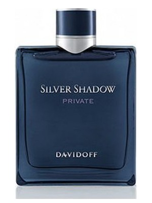 Davidoff Silver Shadow Private 100ml EDT ROBO