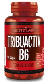ACTIVLAB TRIBULACTIV B6 BUZDYGANEK ZIEMNY 500 Mg