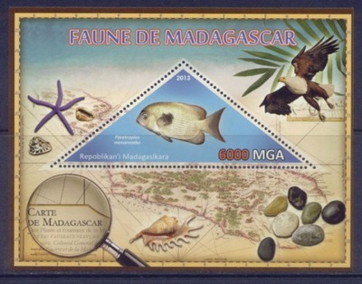 Fauna Madagaskaru Ryba Paretroplus bl. ** #MDG1324