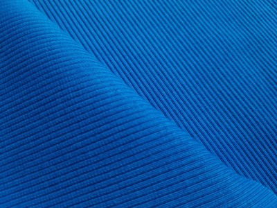 ŚCIĄGACZ DO DRESÓWKI PRĄŻKOWANY 430g JASNY CHABER