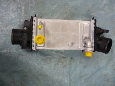 Alfa romeo stelvio quadrifoglio интеркулер фото №1