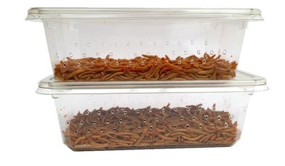 MĄCZNIK MŁYNAREK - PACZKA 100ml