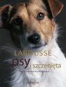 PSY I SZCZENIĘTA. RASY ZACHOWANIE ,LAROUSSE