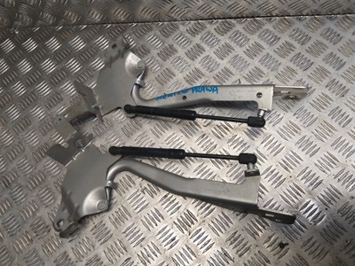 Петля капот левый правый renault scenic iii ted66 фото №1