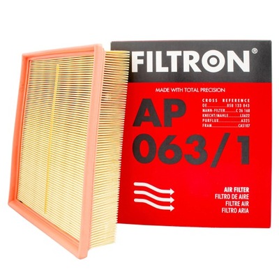 FILTER AIR FILTRON AP063/1 C26168  