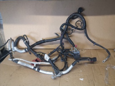 Ford s-max mk2 2.0 tdci электропроводка двигателя фото №1