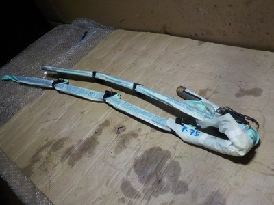 Passat b6 шторка безпеки ліва подушка безпеки 3c0880741 фото №1