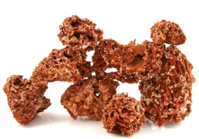 Koralowiec Wapienny Czerwony Do Akwarium 5kg