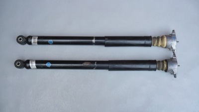 Амортизатор задняя ford ecosport фото №1