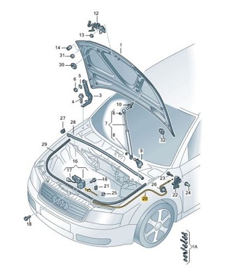 НОВІ ОРИГІНАЛЬНІ AUDI OE ТРОС ЗАМКА КРИШКИ 8P1823531B