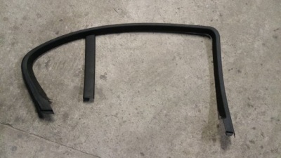 Bmw 5 e60 молдинг двері лівий задня фото №1