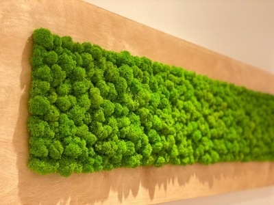 naturalny żywy obraz z mchu mech chrobotek 110x35