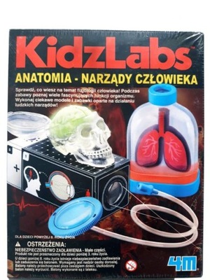 Anatomia - Narządy człowieka 4M zabawka edukacyjna