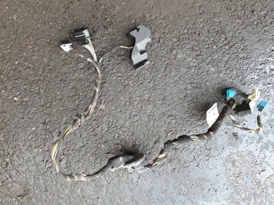 Жгут дверь электропроводка mercedes s w221 правый задняя фото №1