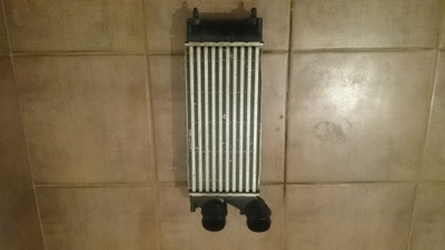 Citroen ds4 c4 1.6 hdi інтеркулер фото №1