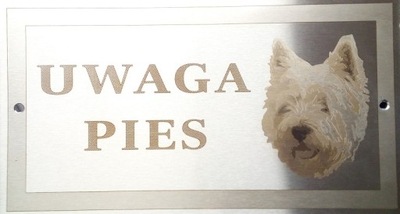 Tabliczka - UWAGA PIES - West Highland Terrier