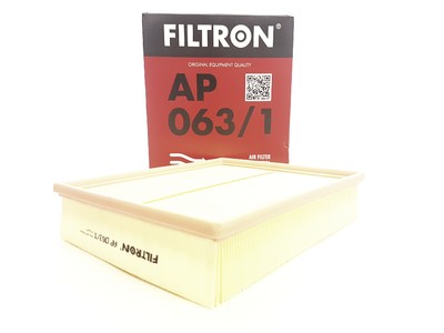 FILTRON FILTRE D'AIR AUDI VW AP 063/1 - milautoparts-fr.ukrlive.com