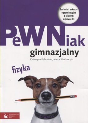 FIZYKA Pewniak gimnazjalny REPETYTORIUM