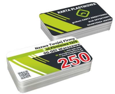 WIZYTÓWKI Karty PLASTIKOWE dwustronne PCV 250 szt