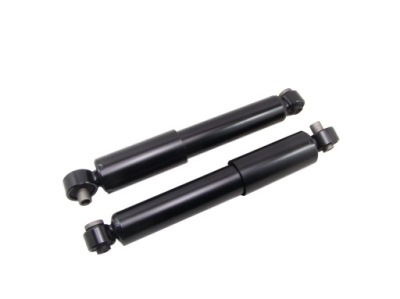 Амортизатори x2 задня hyundai i10 2007-2012 якість фото №1