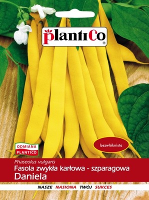 FASOLA DANIELA 40 g KARŁOWA ŻÓŁTA 'P