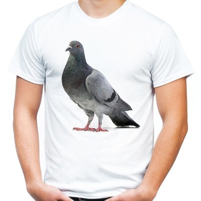 Koszulka dziecięca z gołębiem motywem gołębia 104