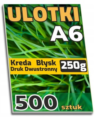 ULOTKI dwustronne A6 KREDA Błysk 250g - 500 sztuk