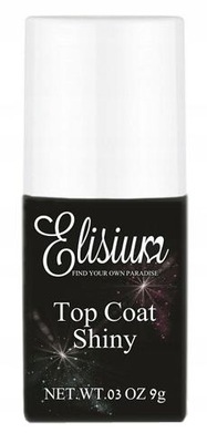 Elisium TOP COAT SHINY No Wipe 9g