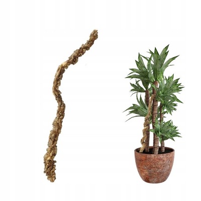 PODPÓRKA DO KWIATÓW PODPORA DLA ROŚLIN LIANA 30cm