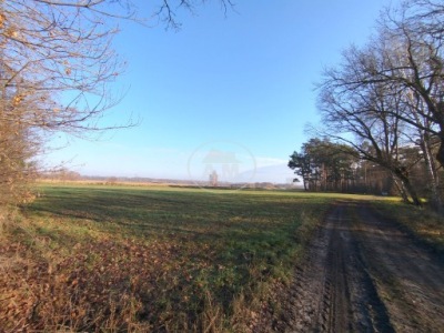 Działka, Kędzie, Żmigród, Trzebnicki, 3000 m²