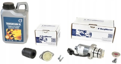 SET PUMP HALDEX 4 GEN OIL FILTER VOLVO XC70  