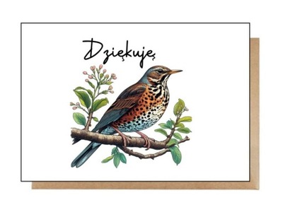 Kartka pocztówka koperta Dziękuję drozd śpiewak ptak ptaszek ornitolog