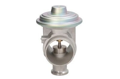 КЛАПАН ЕГР AGR 710921D/1 BORGWARNER (WAHLER)