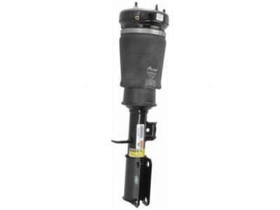 SIDE MEMBER PNEUMATIC BMW X5 E53 2.9-4.8 00-06 - milautoparts-fr.ukrlive.com