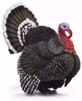 Collecta: Indyk. Collecta