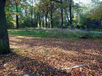 Działka, Sosnowiec, 927 m²