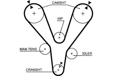 Ремінь розподільного валу hyundai coupe santa fé i sonata iv фото №1