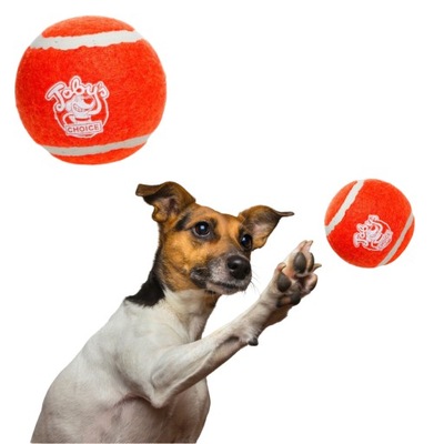 Zabawki dla psa piłka tennisowa SQUEAKER 2PAK M