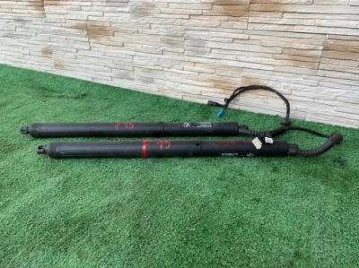 Амортизатори привід кришки кришка багажника задня bmw x5 f15 фото №1