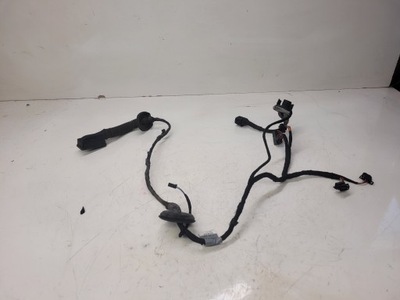 Джгут двері правий задня audi a5 sportback 8t8971687 фото №1