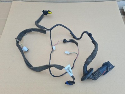 Renault scenic ii джгут двері правий задній 8200466049 фото №1