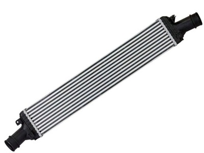 RADUADOR AIRE (INTERCOOLER)  