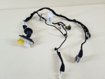 Електропроводка двері передніх правих правий перед peugeot expert iii 3 17r фото №1