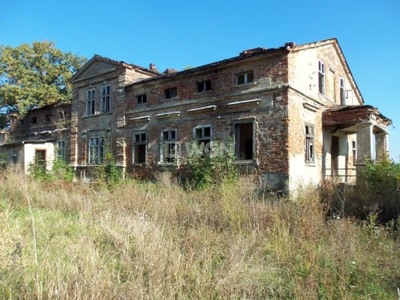 Dom, Pietrzyków, Koźminek (gm.), 460 m²