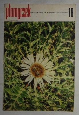 PŁOMYCZEK NR 18 1988